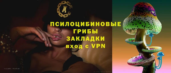крисы Нея