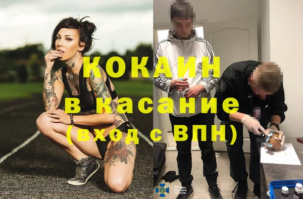 амф Алзамай
