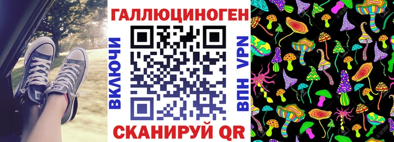 где купить наркоту Сурск Галлюциногенные грибы Psilocybine cubensis