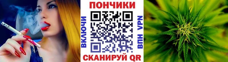 Шишки марихуана ГИДРОПОН  Сурск 